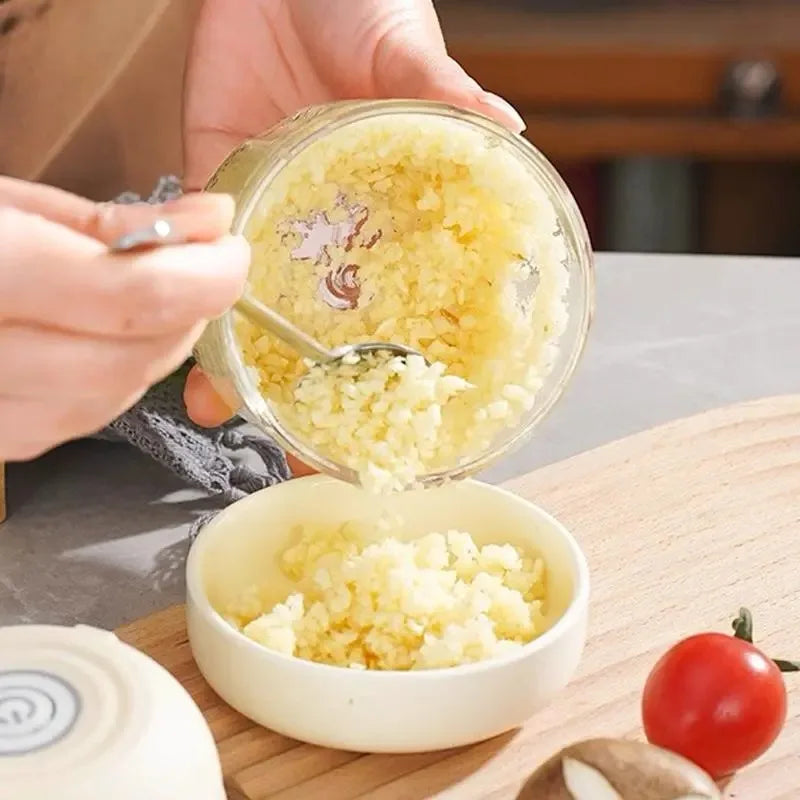 Mini Food Chopper